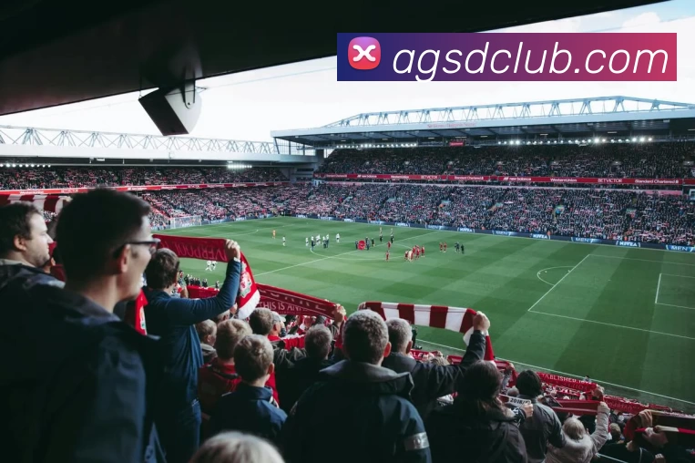 色碟官网品牌故事