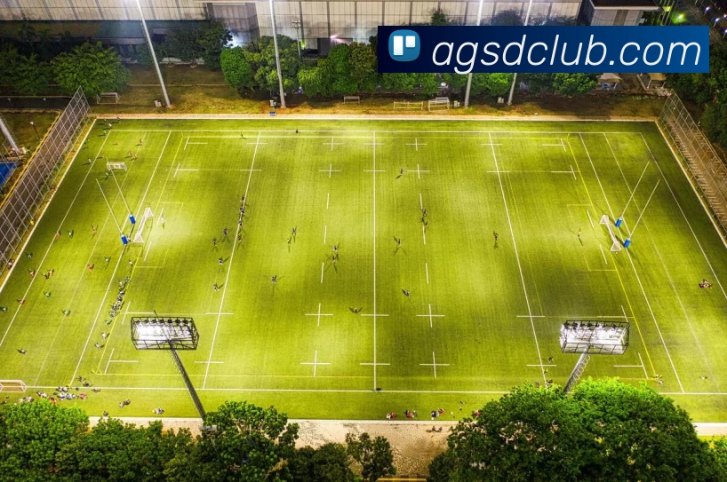 色碟官网服务体系